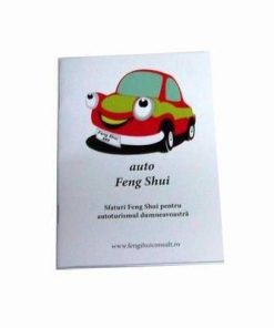 Auto Feng Shui - sfaturi Feng Shui pentru autoturismul dumneavoastră