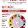 Universul Feng Shui Nr. 6 - PDF
