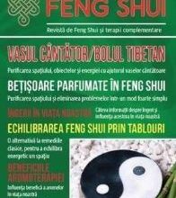 Universul Feng Shui Nr. 5 - PDF